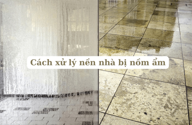 NỒM LÀ GÌ? PHƯƠNG PHÁP CHỐNG NỒM HIỆU QUẢ